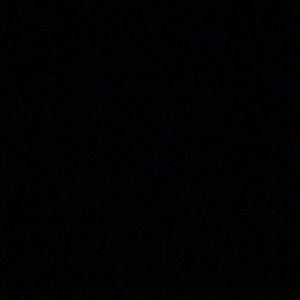 Meet your Posher, Alivia